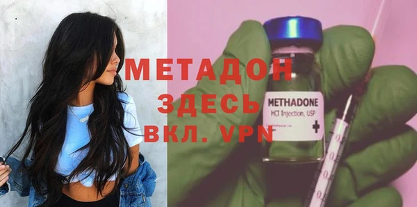 сатива Арсеньев