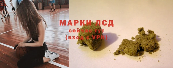сатива Арсеньев