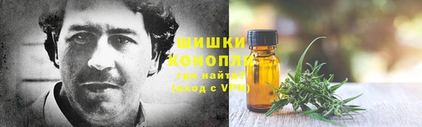 сатива Арсеньев