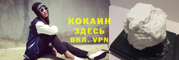 сатива Арсеньев