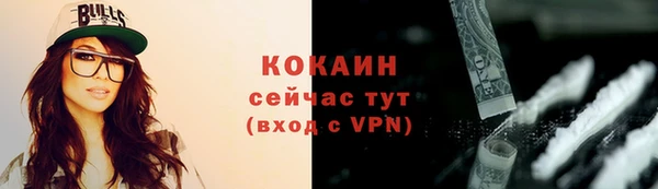 сатива Арсеньев