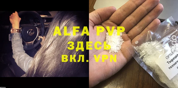 сатива Арсеньев