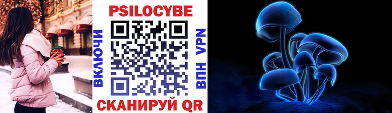 Псилоцибиновые грибы Psilocybine cubensis  Усть-Катав 